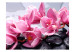 Vlies Fototapete Komposition - rosa Orchideenblüten auf nassen Zen-Steinen liegend 60184 additionalThumb 1