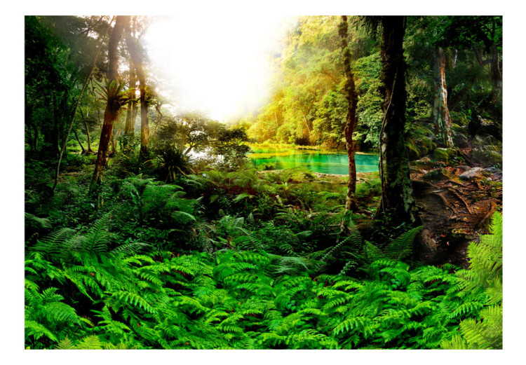 Vliestapete Im Tropenwald - Landschaft mit tropischem Dschungel um einen See 60505 additionalImage 1
