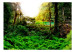 Vliestapete Im Tropenwald - Landschaft mit tropischem Dschungel um einen See 60505 additionalThumb 1