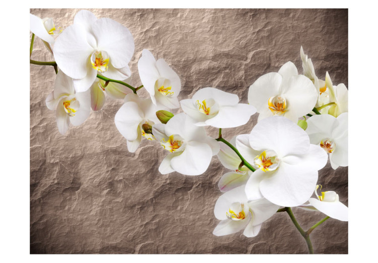 Vliestapete Orchideenblumen - Blumenmotiv auf unregelmäßiger Textur 60615 additionalImage 1