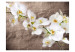 Vliestapete Orchideenblumen - Blumenmotiv auf unregelmäßiger Textur 60615 additionalThumb 1
