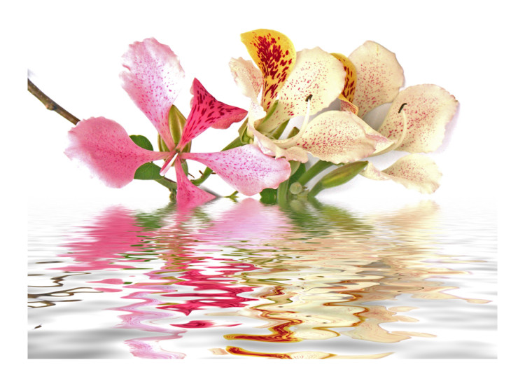 Vliestapete Tropische Blumen - Orchideen und buntes Blumenmuster auf Weiß 60225 additionalImage 1