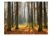 Vliestapete Autumn trees 60525 additionalThumb 1