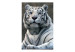 Fototapete Wilde Natur - majestätischer bengalischer Tiger mit blauen Augen 61335 additionalThumb 1
