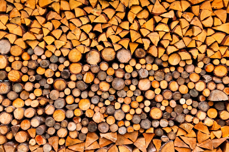 Fototapete Holzscheite - Muster von geschnittenen Baumstämmen für den Kamin 61055