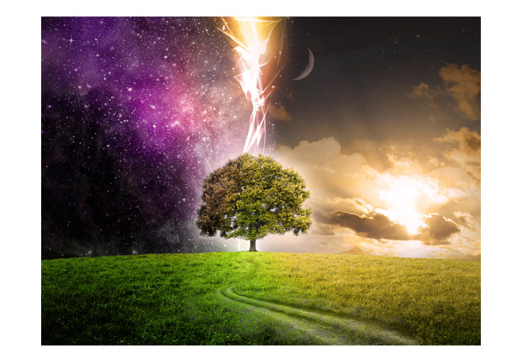 Fototapete Fantasie über die Natur - Baum auf Wiese bei Tag und Nacht mit Sternen 59765 additionalImage 1