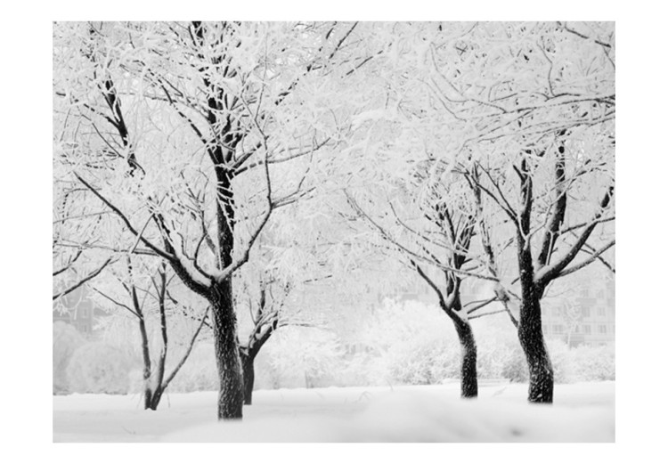 Fototapete Verschneite Bäume: Ein Wintermärchen 60265 additionalImage 1