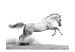 Fototapete White gallop 60965 additionalThumb 1