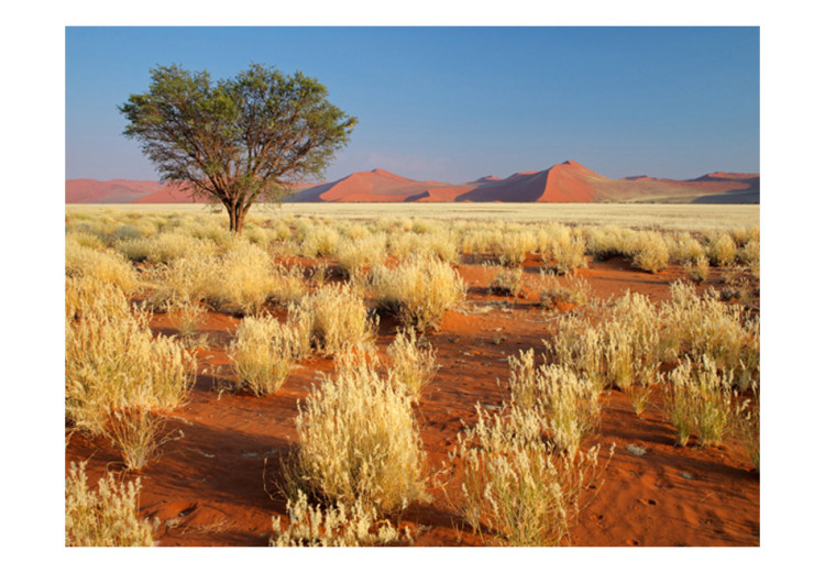 Fototapete Wüstenlandschaft von Namibia 60285 additionalImage 1