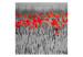 Vliestapete Mohnblumen auf schwarz-weißem Getreide - kontrastreiche Aufnahme 60385 additionalThumb 1