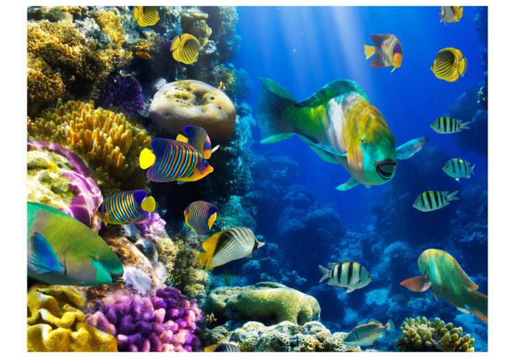 Fototapete Unterwasserparadies - Unterwasserwelt der Tiere auf dem Korallenriff 60006 additionalImage 1