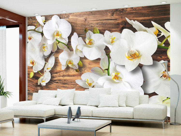 Fototapete Waldbewohnte Orchidee - natürliche weiße Blumen auf dunklem altem Holz 60306