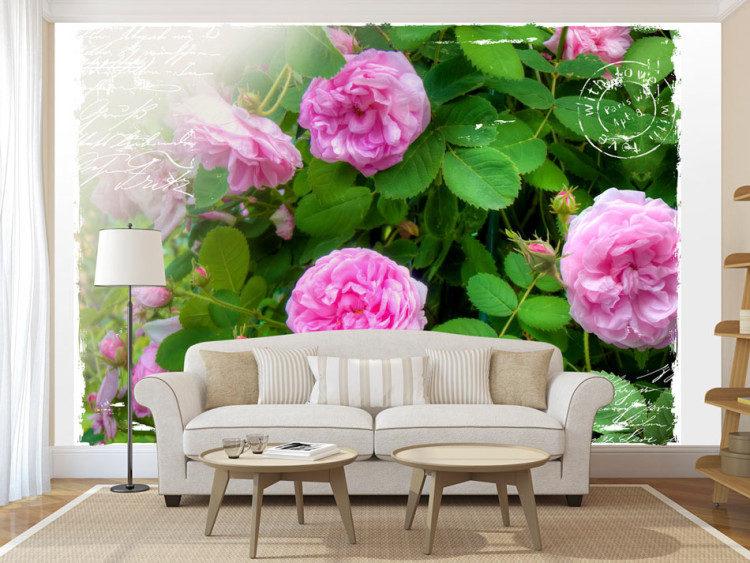 Vlies Fototapete Sommergarten - Pflanzenmotiv mit Rosenblüten im Zentrum und Aufschrift 60326