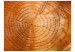 Vliestapete Baumstammringe - Muster eines geschnittenen Baumstamms mit Rissen 61046 additionalThumb 1