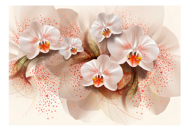 Vliestapete Schönheit der Pflanzen - Schöne weiße Orchideenblüten mit Blättern 60176 additionalImage 1