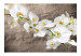 Vliestapete Orchideenblumen - Weiße Blumen auf grauem Hintergrund 60627 additionalThumb 1