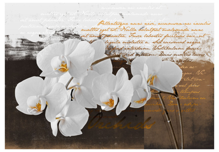Vlies Fototapete Sentimentale Gedanken - Orchideenblüten mit Aufschriften modern 60237 additionalImage 1