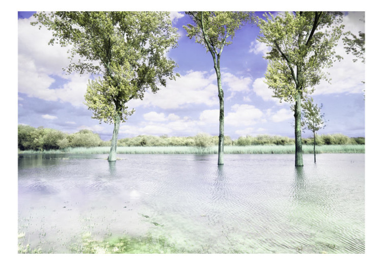 Vliestapete Frühlingslandschaft - Landschaft mit Bäumen am See und blauem Himmel 60447 additionalImage 1