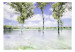 Vliestapete Frühlingslandschaft - Landschaft mit Bäumen am See und blauem Himmel 60447 additionalThumb 1