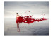 Vliestapete Rotes Kleid - Silhouette einer Frau die an einem kühlen See steht 61247 additionalThumb 1