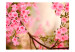 Vliestapete Rosa Azaleen - Nahaufnahme von Blumen auf hellem Pflanzenhintergrund 60457 additionalThumb 1
