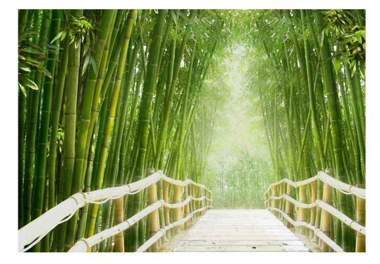 Vlies Fototapete Naturruhe - Fantasie einer chinesische Brücke inmitten grüner Bambusse 59777 additionalImage 1