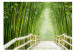 Vlies Fototapete Naturruhe - Fantasie einer chinesische Brücke inmitten grüner Bambusse 59777 additionalThumb 1