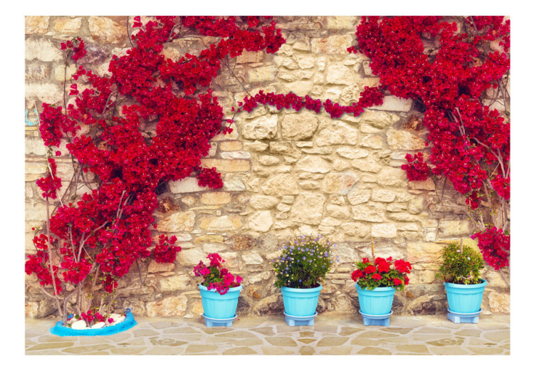 Fototapete Steinmauer - Hintergrund mit rotem Efeu und türkisen Blumentöpfen 60987 additionalImage 1
