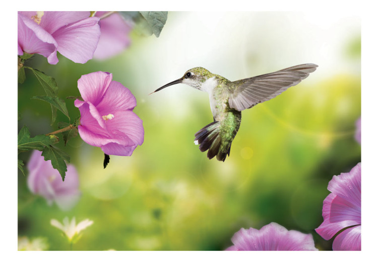 Vlies Fototapete Natur - Kolibri in Flug der rosa Blume auf grünem Hintergrund findet 60097 additionalImage 1