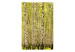 Fototapete Birkenwald - Landschaft mit hohen Bäumen und saftig grünen Blättern 60508 additionalThumb 1