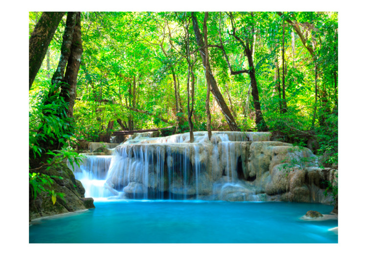 Fototapete In natürlicher Umgebung - Wasserfall im Wald mit Bäumen 60028 additionalImage 1