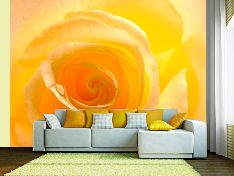 Vlies Fototapete Gelbe Rose - beeindruckende Nahaufnahme einer Rosenblüte mit Wasser 60328