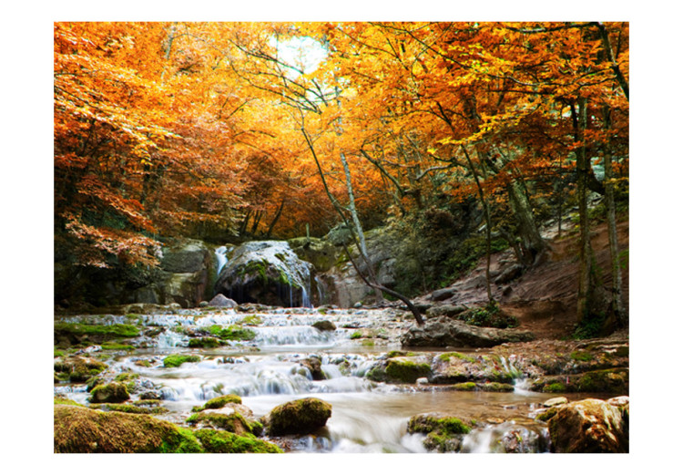Fototapete Wasserfälle - Fluss und Felsen in einem herbstlichen Wald 60048 additionalImage 1