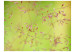 Vlies Fototapete Gras auf grünem Hintergrund - natürliche Nahaufnahme von Blumen 60448 additionalThumb 1