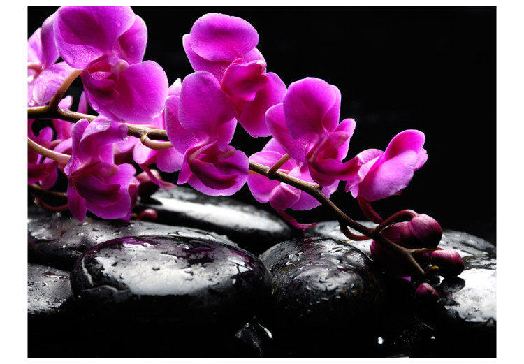 Fototapete Momente der Entspannung - Orchideenblüten auf Zen-Steinen auf Schwarz 60188 additionalImage 1