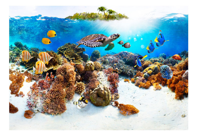Fototapete Korallenriff - Bunte Fische und Schildkröten in Unterwasserwelt 59998 additionalImage 1
