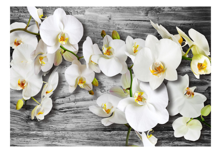 Vliestapete Kühle Orchideen - weiße Blumen auf Holz in Grautönen 60309 additionalImage 1