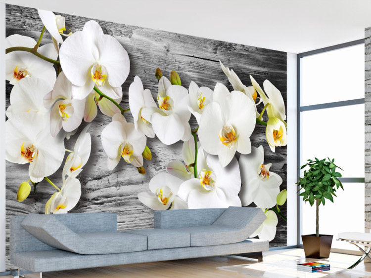 Vliestapete Kühle Orchideen - weiße Blumen auf Holz in Grautönen 60309
