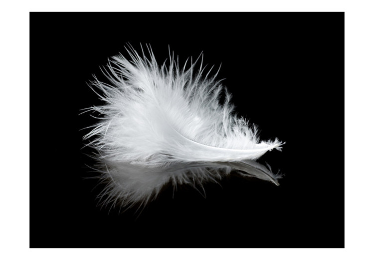 Vlies Fototapete White feather 61319 additionalImage 1