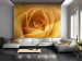 Vliestapete Gelbe Rose - Symbol der Freundschaft natürliche Aufnahme von Rosen 60329
