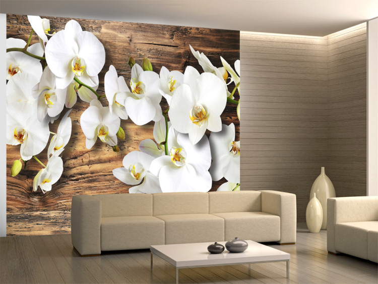 Vlies Fototapete Schneeweiße Orchideen - Weißes Blumenmotiv auf Holzuntergrund 60629