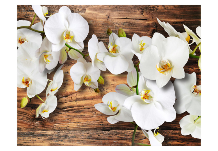Vlies Fototapete Schneeweiße Orchideen - Weißes Blumenmotiv auf Holzuntergrund 60629 additionalImage 1