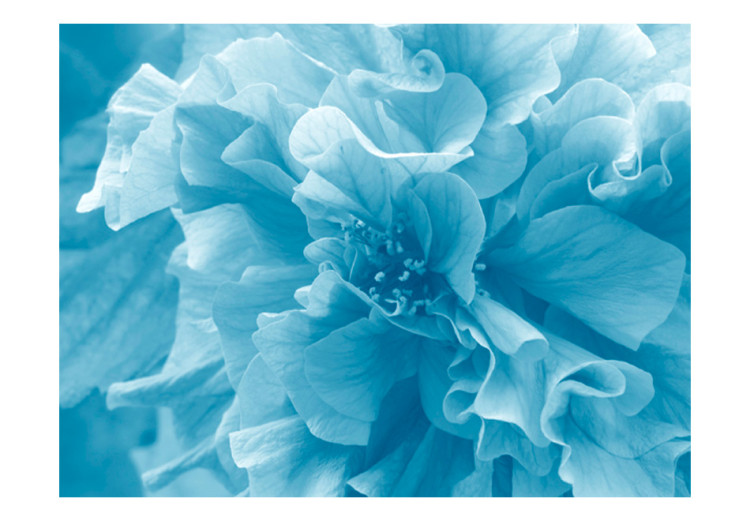 Vliestapete Blaue Azaleen - Nahaufnahme von Blütenblättern in leuchtenden Farben 60449 additionalImage 1