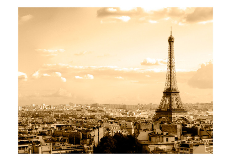 Vlies Fototapete Panorama von Paris - Eiffelturm in Sepia mit Stadtarchitektur 59859 additionalImage 1