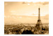 Vlies Fototapete Panorama von Paris - Eiffelturm in Sepia mit Stadtarchitektur 59859 additionalThumb 1
