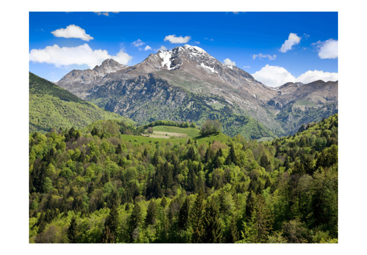 Vlies Fototapete Urlaub in den Bergen - Landschaft hoher Berge zwischen grünen Hügeln 60579 additionalImage 1