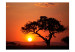 Fototapete Afrika: Sonnenuntergang  60489 additionalThumb 1