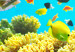 Vliestapete Underwater Land 59999 additionalThumb 3